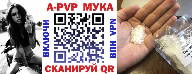 Где можно купить наркотики Чегем АМФЕТАМИН  hydra как зайти  Кетамин  Канабис  Псилоцибиновые грибы 