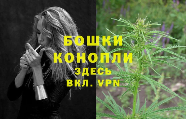 spice Магас