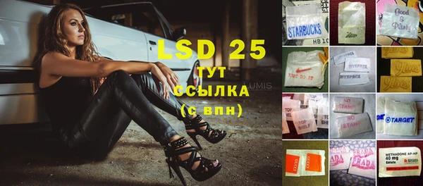 spice Магас