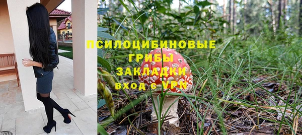 spice Магас